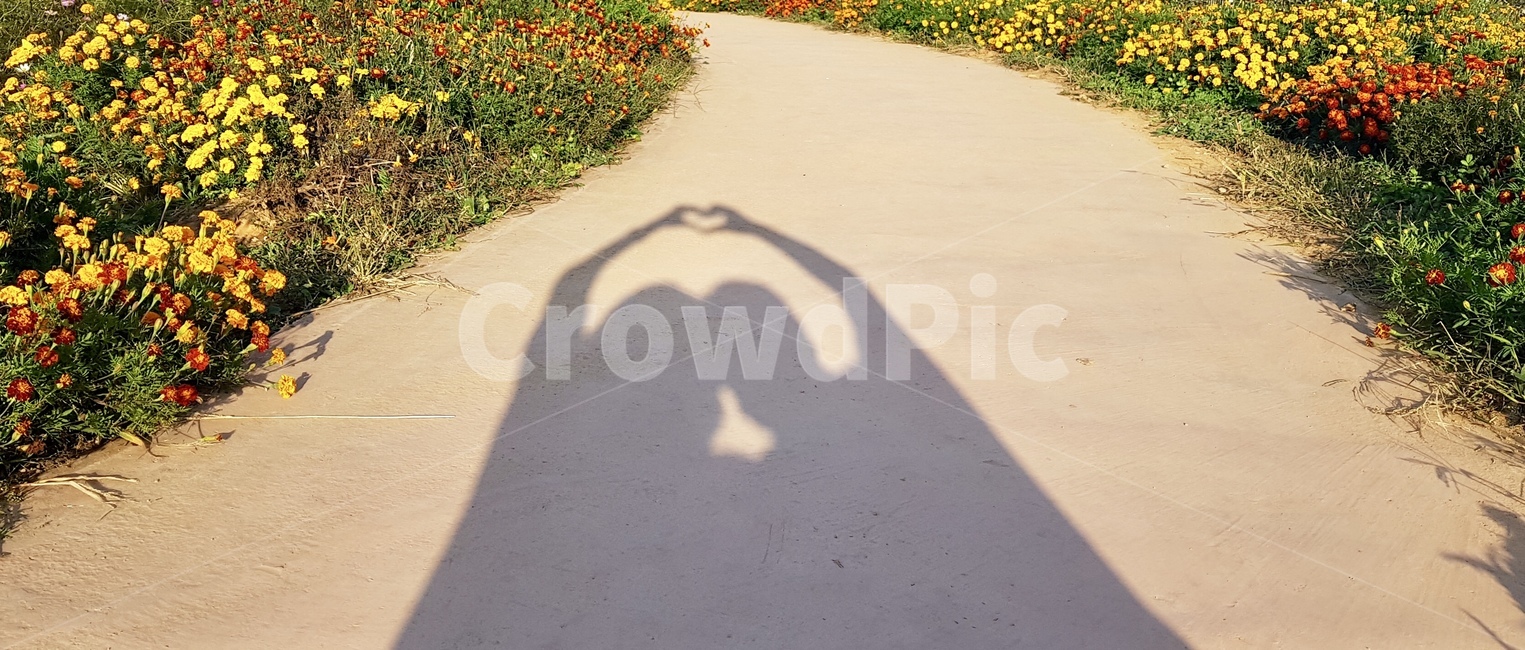 하트,그림자,꽃길,love,heart,연인,커플,사랑,lover,couple
