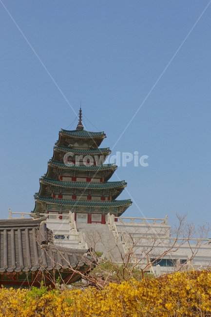 한옥,봄,탑,기와,house,traditional,spring,korea