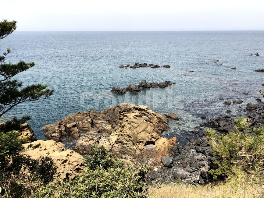 제주도,휴식,환경,자연,바다,산책