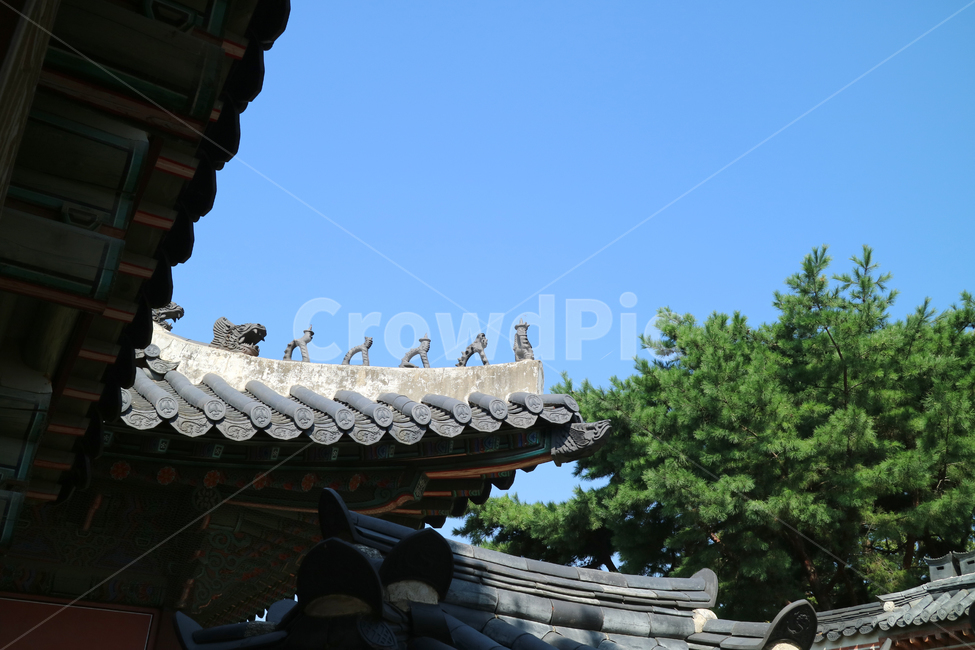 고궁,궁전,한국,한국전통,건축,건물,동양건축,전통,민속,문화재,한국의고궁,한옥,대한민국,지붕,잡상,한국전통,한국문화,korean traditional,korean culture,건축물,건물외관,exterior,building,structure,architecture,construction