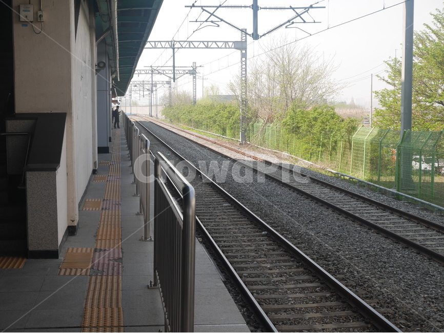 철도,철길,자연,경치,봄,교통,교통수단,traffic,transportation,railway,train track,기찻길,rail,레일