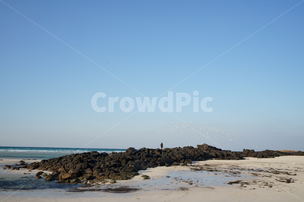 제주도,제주해변,김녕성세기해변,겨울바다,자연,jejuisland,jeju,koreanature,wintersea,sea