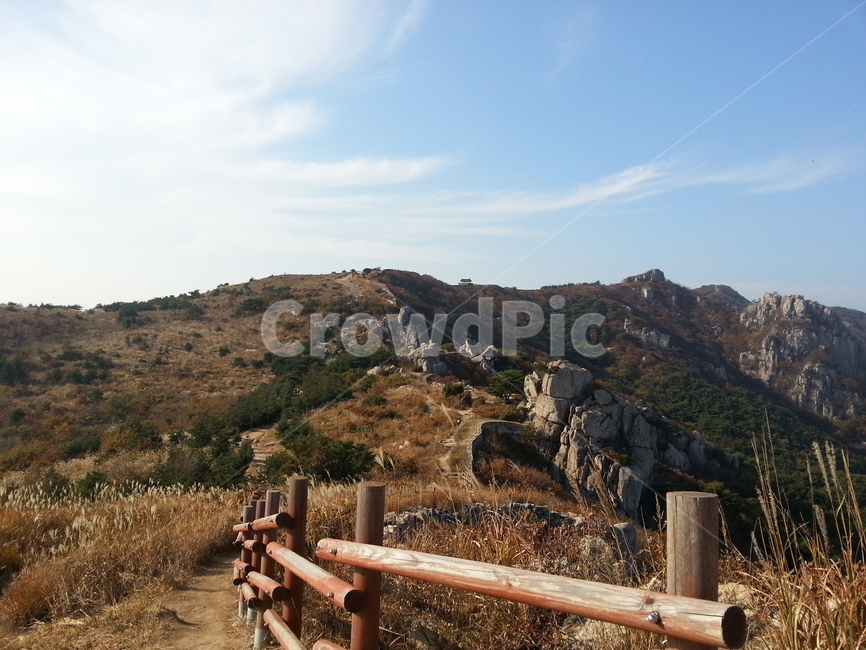 등산,등산로,산,산책로,갈대,하늘,가을