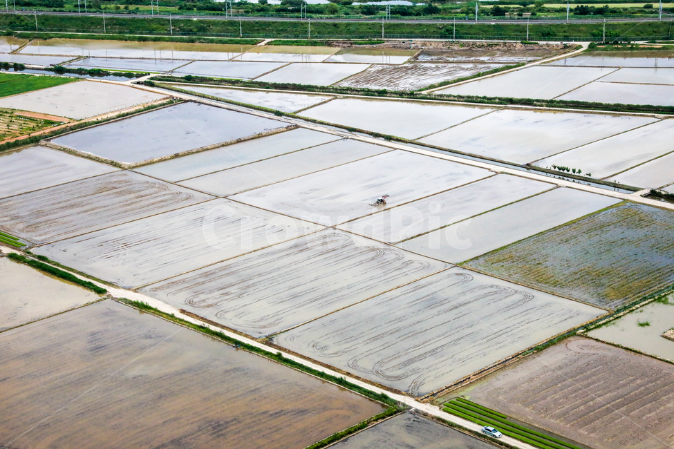 평야,논,모내기,여름,시골,시골,마을,풍경,landscape,country,rural,town,산업,industry,industrial,농업,농사,agriculture,farming,farming industry