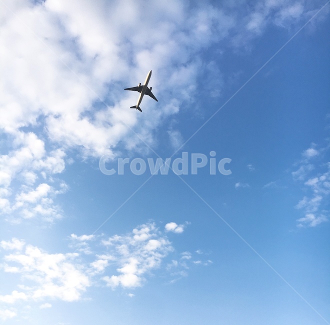 구름,하늘,파란,푸른색,비행기,감성,감성사진,flying,blue,sky,cloud,feel,날다,자유,여행,여행,휴가,traveling,vacation,trip,교통,교통수단,traffic,transportation