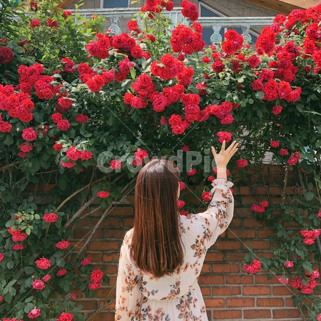 인물,뒷모습,여자,꽃,사람,꽃,flower,사람,인물,인간,human,person,여성,여자,woman,female,lady
