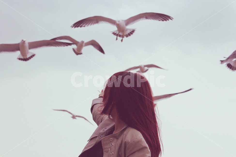 갈매기,날아,하늘,비상,bird,새,animal,동물,flying,나는,사람,인물,인간,human,person,여성,여자,woman,female,lady,감성,sensible,feeling
