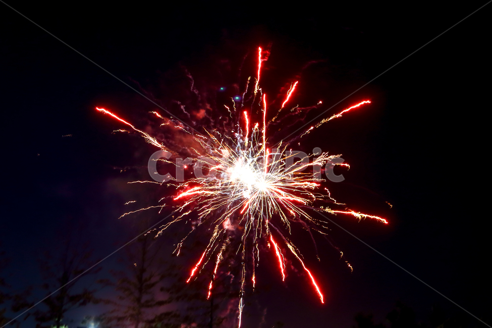 불꽃놀이,불꽃,2019년새해,새해,새날,야경,밤,풍경,nightscape,night,landscape,축제,행사,festival,carnival,event,nature,자연,outdoors,옥외