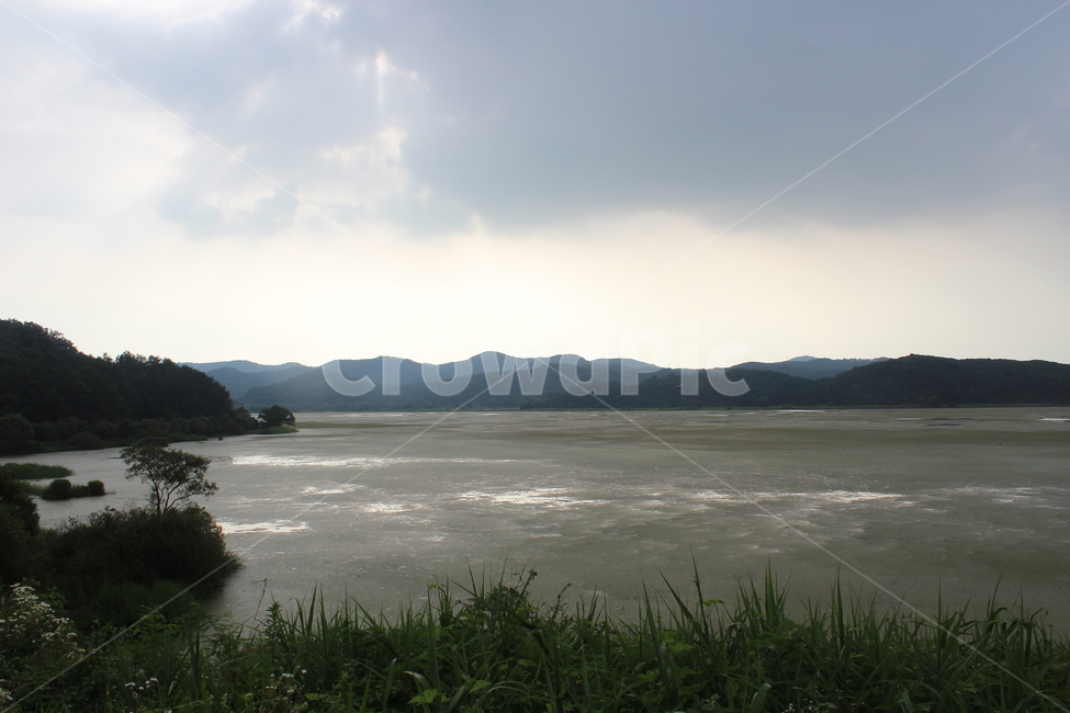 우포늪,늪,자연배경,자연,강,자연,풍경,nature,landscape,land,땅,outdoors,옥외,water,물