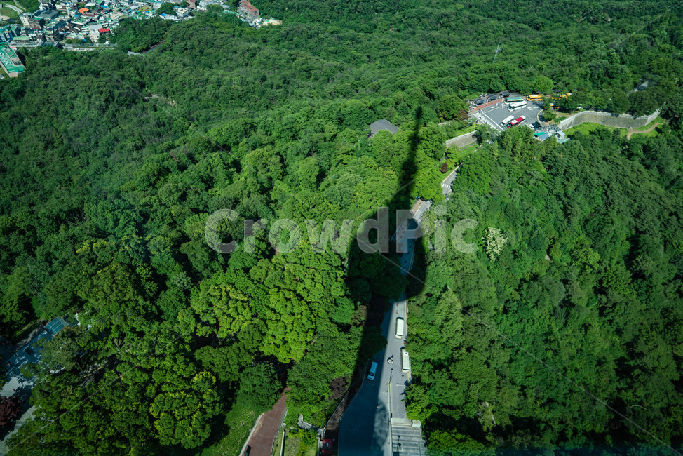 남산,서울,그림자,nature,자연,landscape,경치,풍경,scenery,옥외,outdoors,vegetation,초목,plant,식물,aerialview,열대우림,land,조감도,rainforest,나라,tree,나무,자연,풍경,nature,landscape