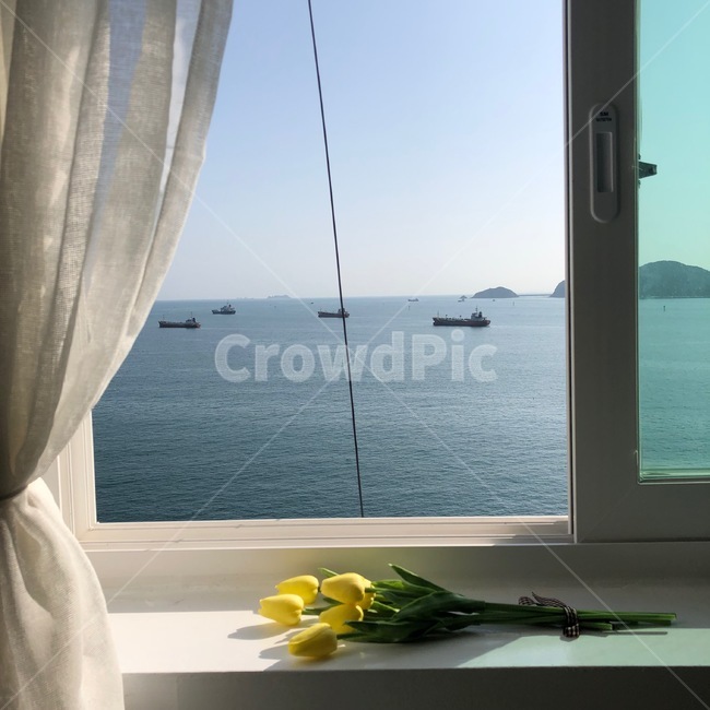 바다,꽃,창문,윤슬,커튼,자연,배,감성사진,여름,여름바다