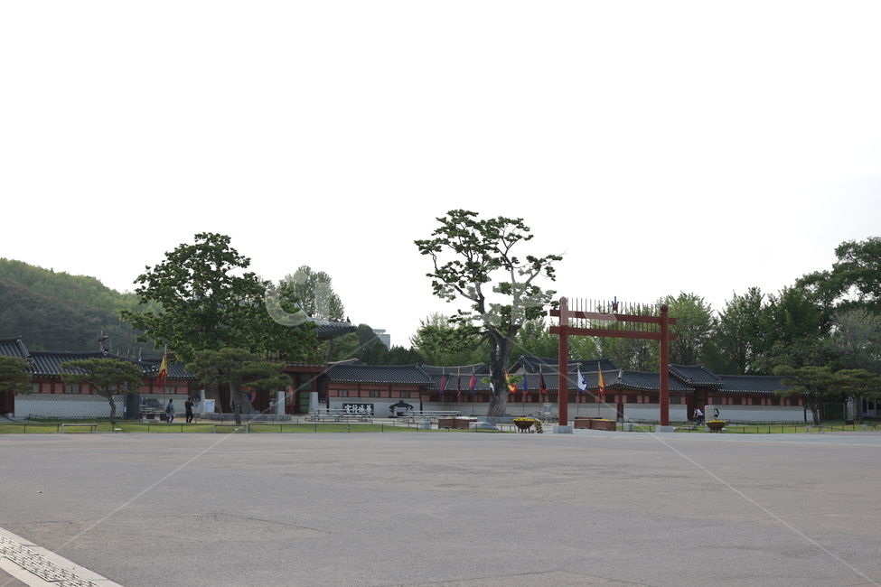 수원행궁,광장,고궁,한옥,나무,소나무