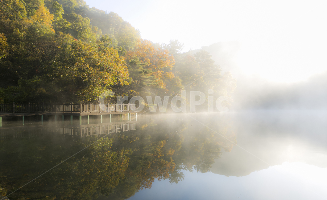 세량지,화순,아침,반영,이른아침,새벽,세량지아침,안개,가을,계절,fall,autumn,season,자연,풍경,nature,landscape,한국자연풍경,한국자연경관,korea nature landscape,weather,날씨,outdoors,옥외