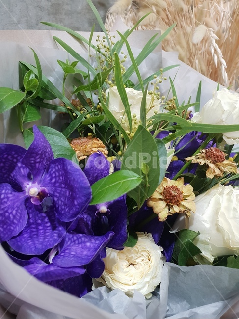 꽃다발,꽃,반다,flower,식물,꽃,flower