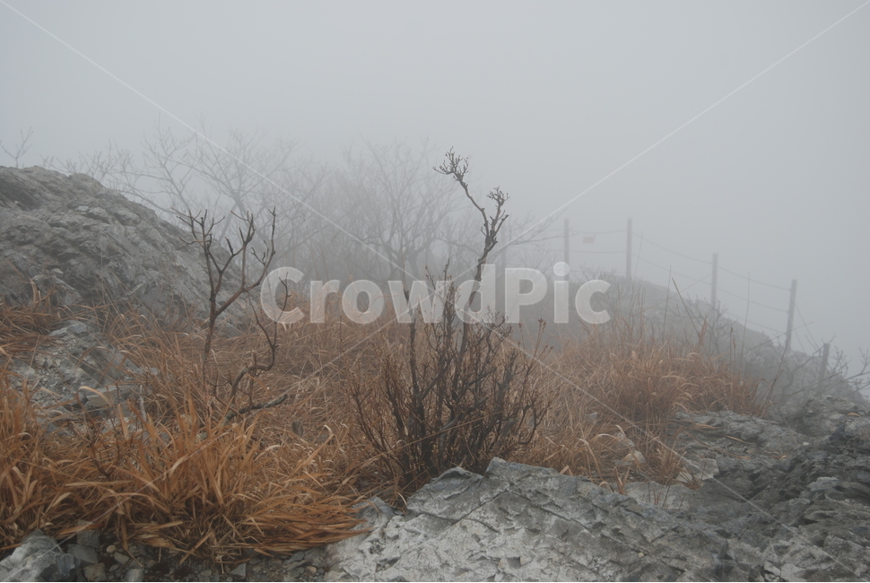 안개,fog,등산로,hikingtrail,봄,자연,풍경,nature,landscape,weather,날씨,outdoors,옥외