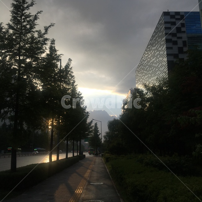 빛,도로,길,건물,도시