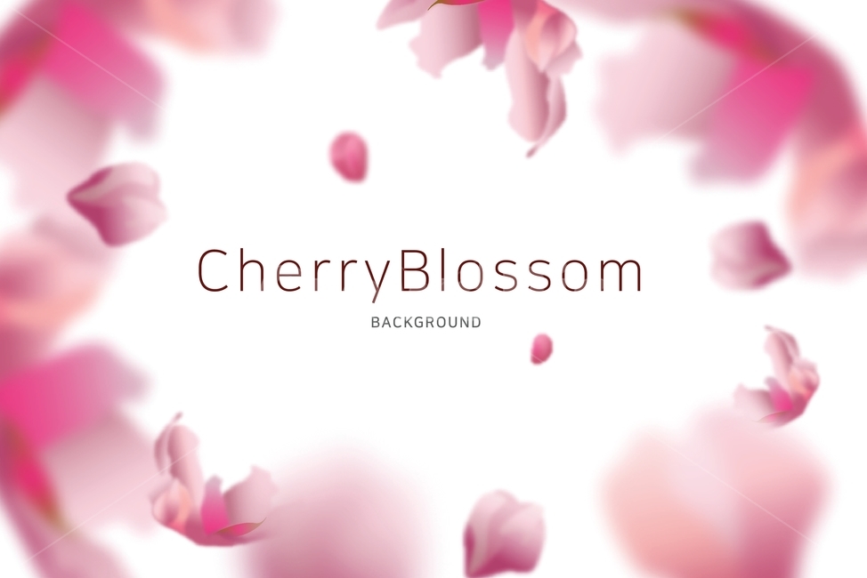 쇼핑,뒷배경,장식,봄,봄맞이,벗꽃,꽃,분홍,cherryblossom,템플릿,벚꽃,개화,시즌,식물,핑크,계절,봄꽃,blossom,petal,plant,flower,사랑,love,spring,휴식,잎,로맨틱,낭만,분위기,기획전,할인,쇼핑몰,세일,행사,대배너