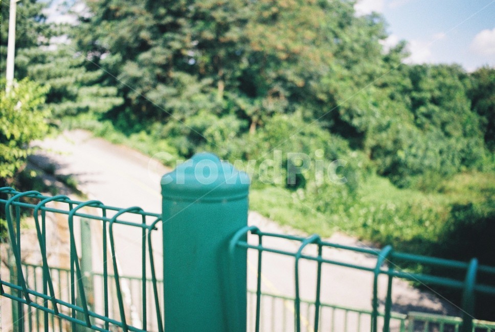 난간,banister,handrail,railing,초록,필카