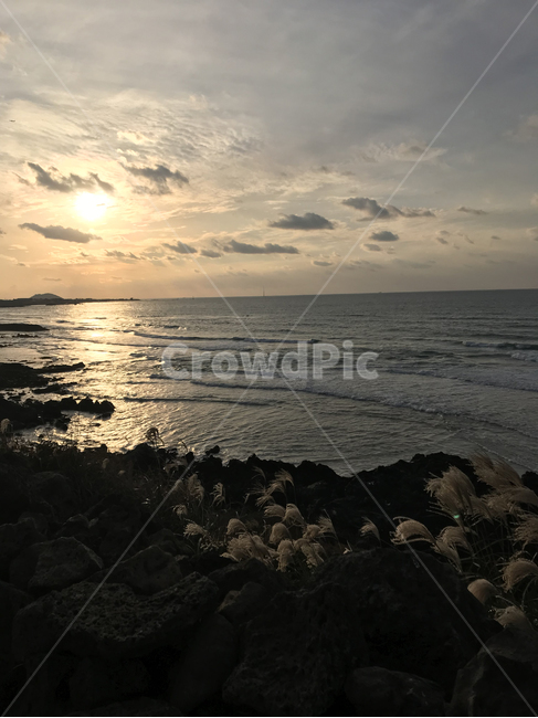바다,제주도,애월,제주,노을,갈대,노을바다,nature,자연,sunlight,햇빛,jeju,aewol