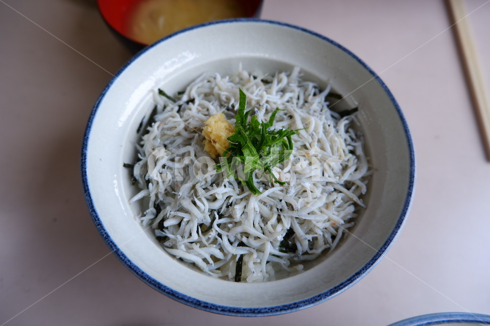 일본,시라스동,식당,일본식당,일식,일본요리,음식,식재료,요리,food,cook,meal,dishes,food reserves,일식,일본음식,일본요리,Japanese food,Japanese dishes,Japanese meal,Japanese cook