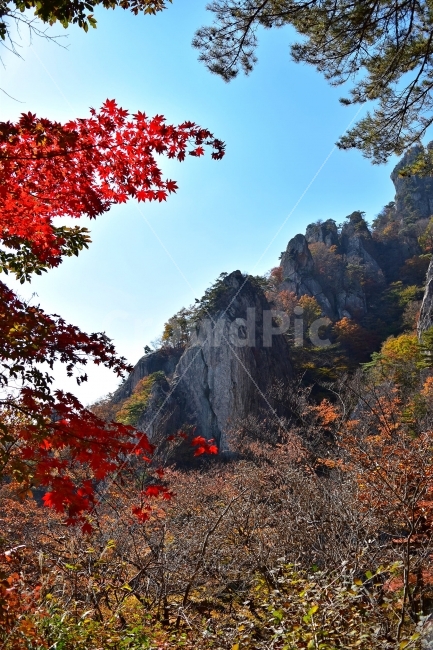 대둔산,가을,풍경,단풍,탐방,도립공원,빨간단풍,파란하늘,가을색,오색,울긋불긋,알록달록,그림같은,칼라풀,뷰티플,아름다운,힐링,감성,자연,정취,산세,명산,100대명산,nature,산,등산,트레킹,풍경사진,비경,경치,가을사진,가을색채,가을의정취,맑음,청명,가을날씨,경관,기암,암봉우리,mountain,금산,완주,논산,낙조대,낙조산장,마천대,케이블카,구름다리,삼선계단,가을,계절,fall,autumn,season,자연,풍경,nature,landscape,한국자연풍경,한국자연경관,korea nature landscape,leaf,잎,plant,식물,tree,나무