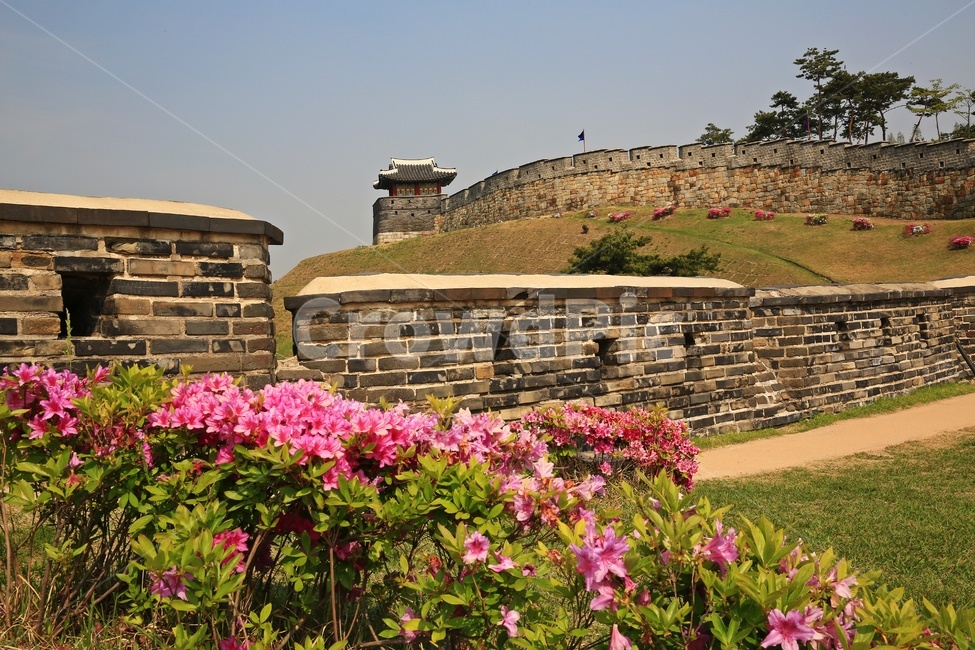 경기,수원,수원화성,성곽,outdoors,옥외,nature,자연,building,건물,성벽,유적지,문화재,한국문화,한국전통,architecture,건축물,철쭉,철쭉꽃,봄,계절