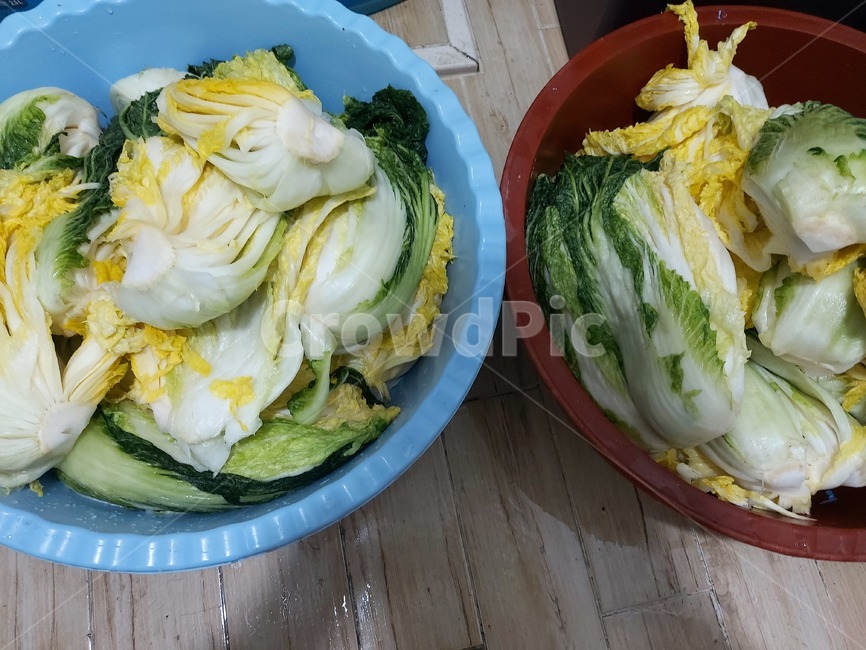 plant,식물,절임배추,김장,김치담그기,김치