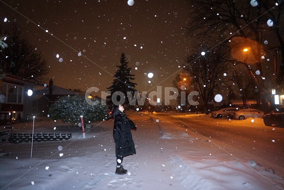 눈,함박눈,겨울밤,밤,겨울,캐나다,겨울,계절,winter,season,야경,밤,풍경,nightscape,night,landscape,사람,인물,인간,human,person,여성,여자,woman,female,lady,nature,자연,outdoors,옥외,blizzard,눈보라,snow,storm,폭풍,transportation,교통,car,차,vehicle,차량,automobile,자동차
