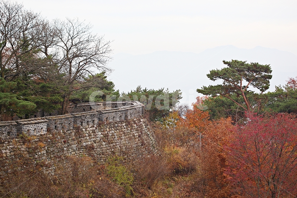 남한산성,성,성곽,단풍,낙엽,길,둘레길,숲,숲길,담,돌담,가을,자연,풍경,벽,울긋불긋,산성,식물,가을,계절,fall,autumn,season