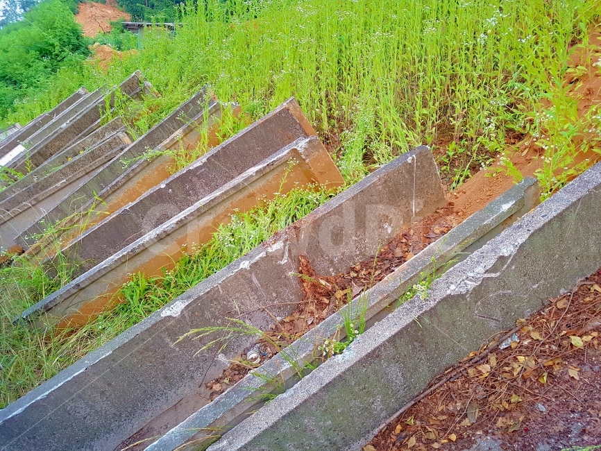 폐허,식물,자생,생명,생존,풀,콘크리트,과학,배경,땅,조각,거친,tough,plants,science,life,survival,grass,concrete,backgrounds,piece,land,ground,식물,자연,plants,nature