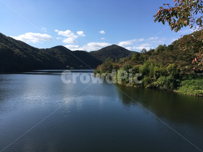 주암호,호수,가을,낙엽,벚꽃나무,벚꽃,나무,풍경,보성군,산,자연,풍경,nature,landscape,water,물,outdoors,옥외