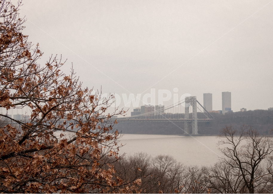 bridge,tree,view,풍경,다리,도시,풍경,city,landscape,해외,외국,세계,foreign,oversea,world,세계도시풍경,해외도시풍경,외국도시풍경,world cityscape,nature,자연,fog,안개