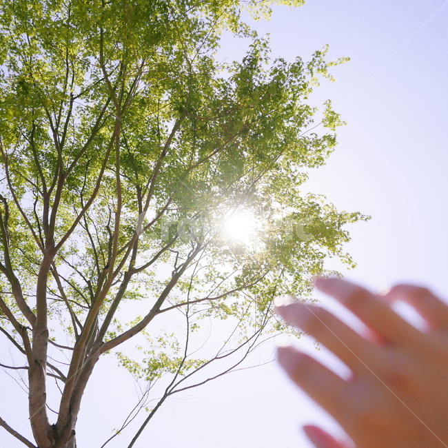 빛,햇빛,light,sunlight,감성사진,아련