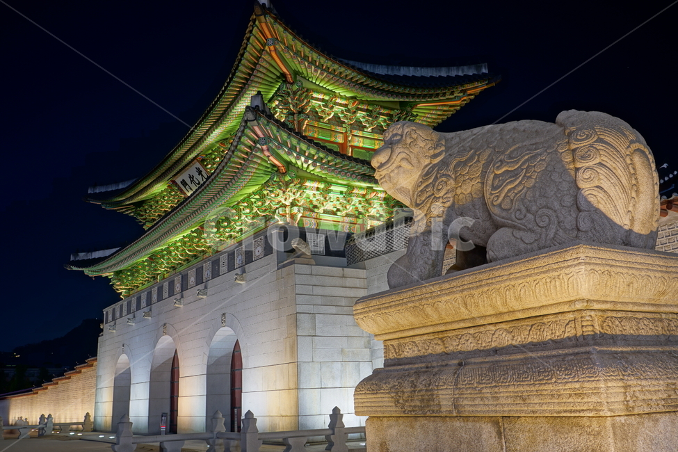 광화문,경복궁,궁궐,궁전,고궁,서울,한국,문화재,종로,종로구,사직로,조선왕조,조선시대,조선,역사,야경,korea,seoul,전통,한옥,성문,한양도성,성벽,캐슬,castle,한국전통,한국문화,서울야경,서울풍경,풍경,nightview,nightscene,nightscape,한국관광지,한국명소,랜드마크,landmark,landscape,culturalassets,culturalproperties,동상,석상,조형물,해태,야경,밤,풍경,nightscape,night,landscape,한국전통,한국문화,korean traditional,korean culture,랜드마크,landmark,tourist attraction,한국랜드마크,한국관광지,한국명소,korea landmark,korea tourist attraction,건축물,건물외관,exterior,building,structure,architecture,construction,건물,worship,예배,pagoda,탑,shrine,신사,dinosaur,공룡,animal,동물