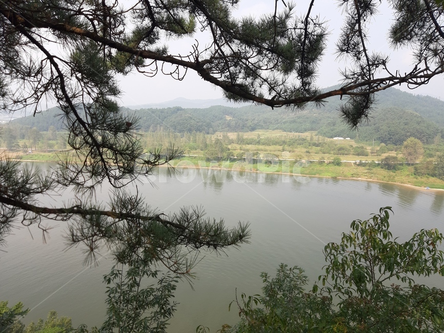 낙화암,충청남도,부여,백마강,백제,강,자연,nature,자연,풍경,nature,landscape,tree,나무,plant,식물,water,물,outdoors,옥외,land,땅