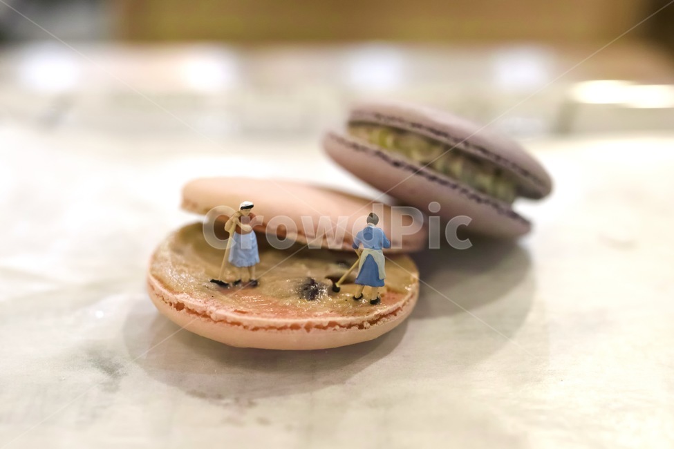 macaron,baking,dessert,snack,macaroon,cake,miniature,confectionery