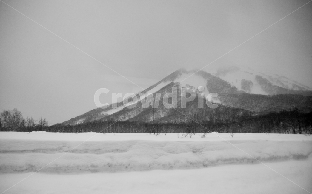 삿포로,겨울,눈,경치,설경,일본,호카이도,겨울,계절,winter,season,자연,풍경,nature,landscape,흑백,모노톤,monochrome,black and white,outdoors,옥외,mountain,산