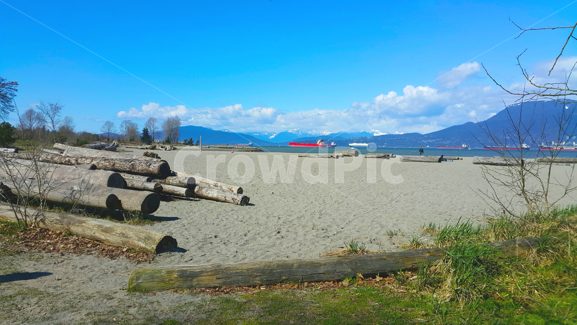wood,나무,해변,비치,베이,베이비치,bay,beach