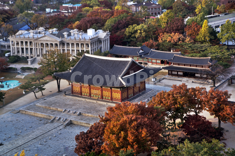 덕수궁,궁궐,가을,자연,도심,중화전,한국전통,한국문화,korean traditional,korean culture
