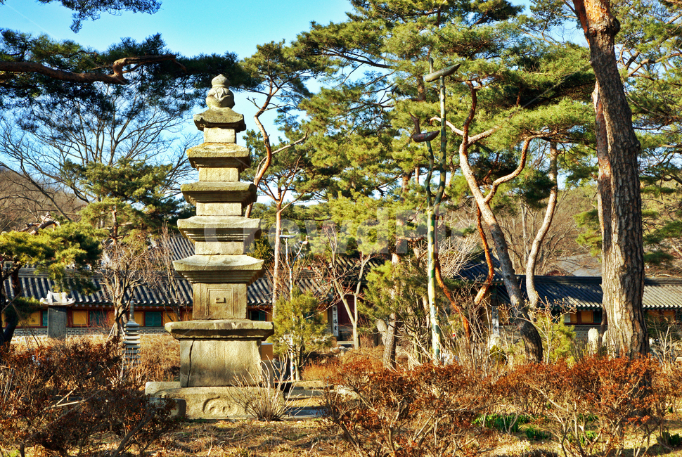 5층석탑,석탑,용주사,사찰,불교사찰,화성,고려시대,유형문화재제212호
