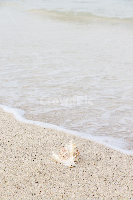 바다,해변,모래사장,소라,조개,여름,백사장,파도,배경,백그라운드,물보라,해변,바다,beach,sea,감성,sensible,feeling