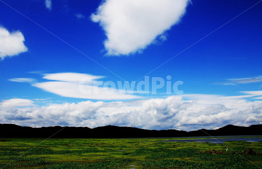 nature,자연,푸른하늘,sky,하늘,grassland,목초지,field,들,우포늪,풍경
