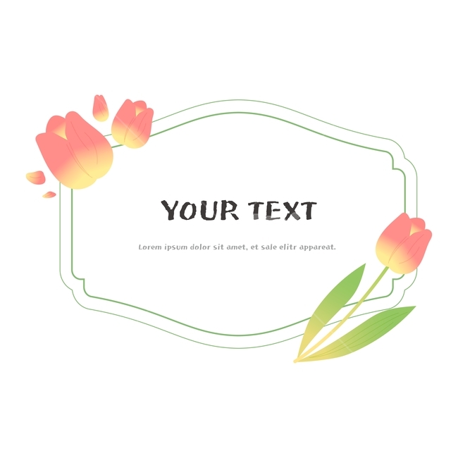 튤립,꽃,봄꽃,봄,프레임,텍스트박스,라벨,탬플릿,템플릿,그래픽,일러스트레이션,graphic,illustration