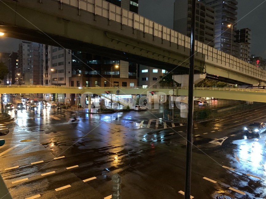 일본,야경,도시,도심,한적한도심