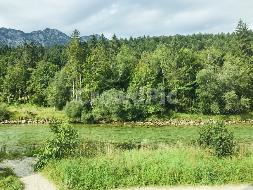 바트이슐,숲속풍경,나무,자연,tree,plant,자연,풍경,nature,landscape,나무,trees,wood,식물,fir,전나무