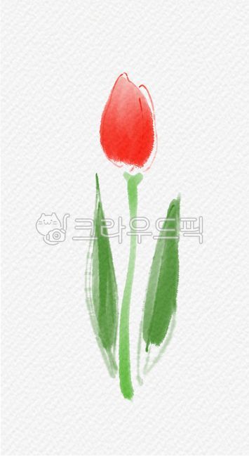 튤립,봄,꽃,식물,빨간튤립,spring,flower,blossom,plant,일러스트,그림,한송이