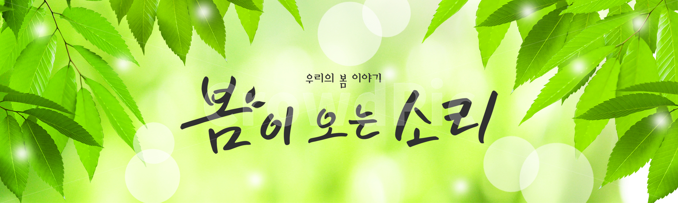 시즌,계절,봄,캘리그라피,캘리,손글씨,편집,배너,웹소스,소스,모바일,팝업,붓글씨,한글,꽃,배경,백그라운드,잎사귀,잎,나무,봄,계절,spring,season,캘리그라피,손글씨,calligraphy
