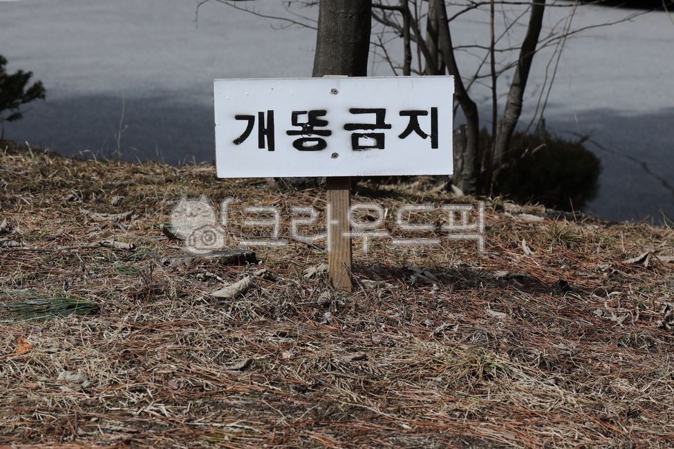 signpost,pile,reminder table,No dog poop,mark