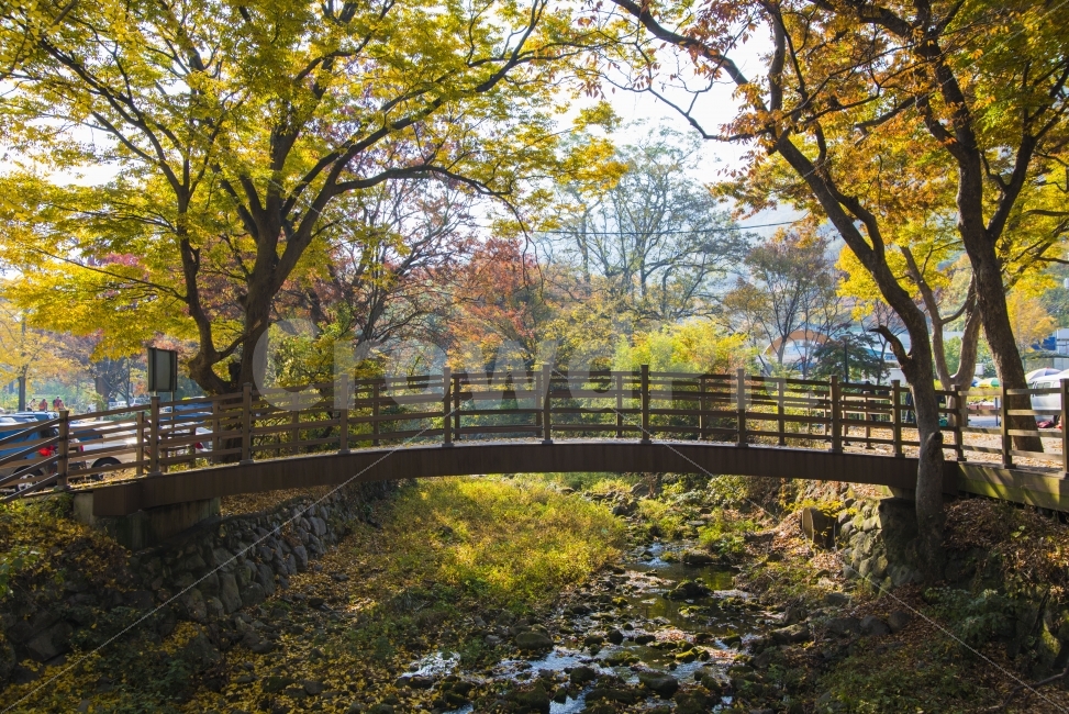 가을,다리,나무,풍경,낙엽,가을,계절,fall,autumn,season,자연,풍경,nature,landscape,bridge,building,건물