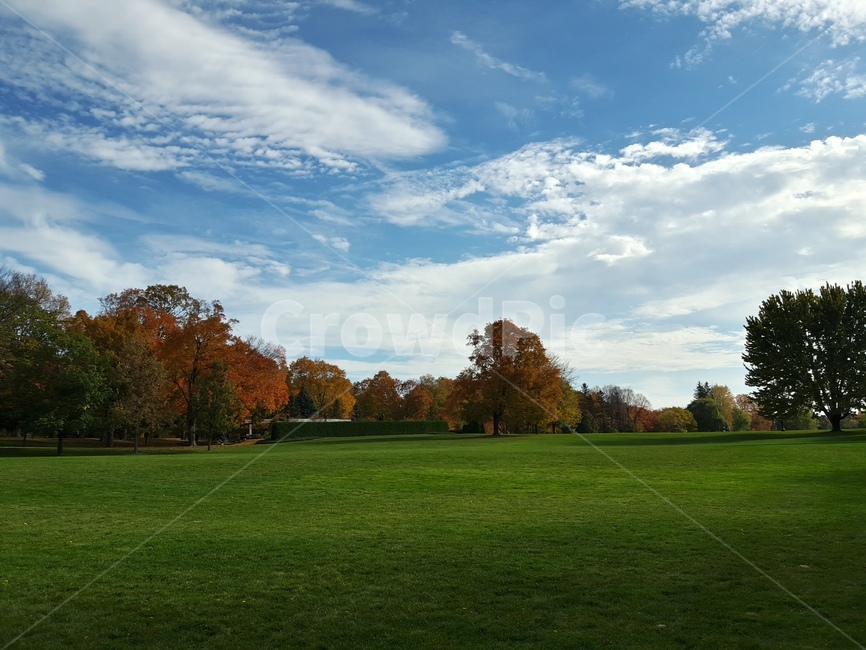 lawn,잔디,grass,가을,단풍,배경,자연,하늘,구름